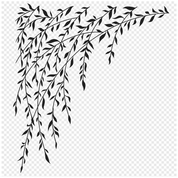 570x570 Willow Tree Drawing - Willow Tree Drawing
