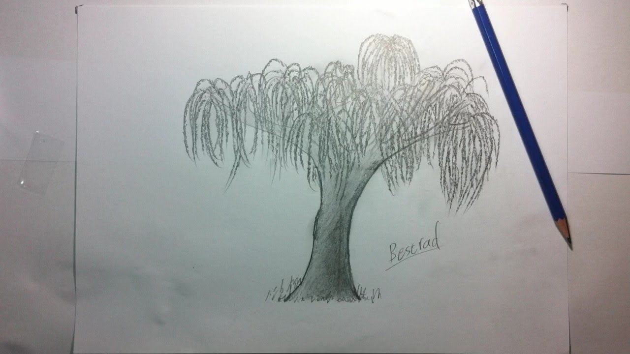 1280x720 Draw A Tree - Willow Tree Drawing