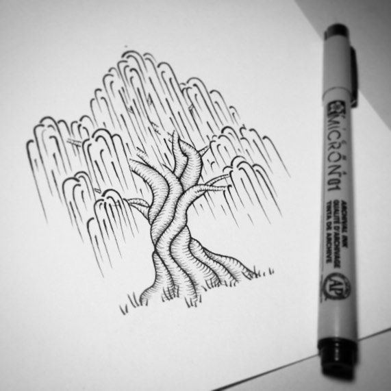 571x571 find me under the willow tree, from the moment i can walk till - Willow Tree Drawing