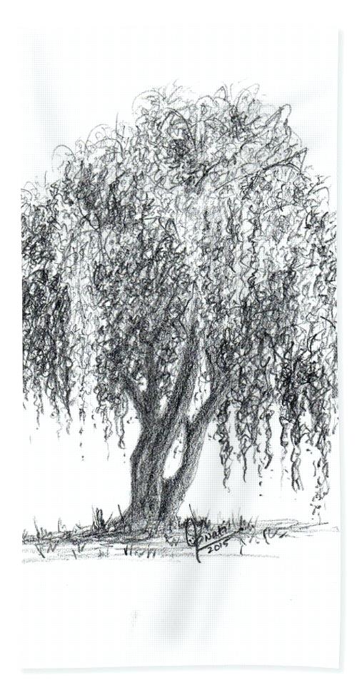 500x967 How To Draw A Weeping Willow Step - Willow Tree Drawing