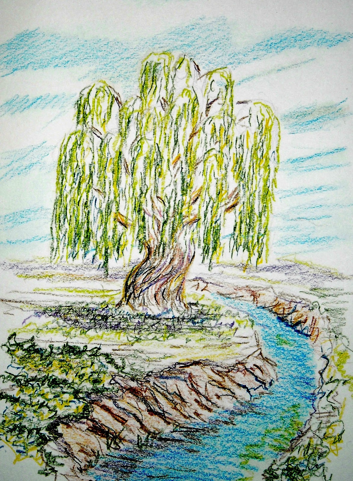 Ива над заглохшей рекой 5 класс. Плакучая Ива дерево. Пейзаж с ивой. Ива рисунок. Ива набросок.