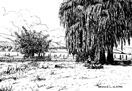 499x346 How To Draw A Willow Tree Landscape In Pen And Ink Online Art - Willow Tree Drawing