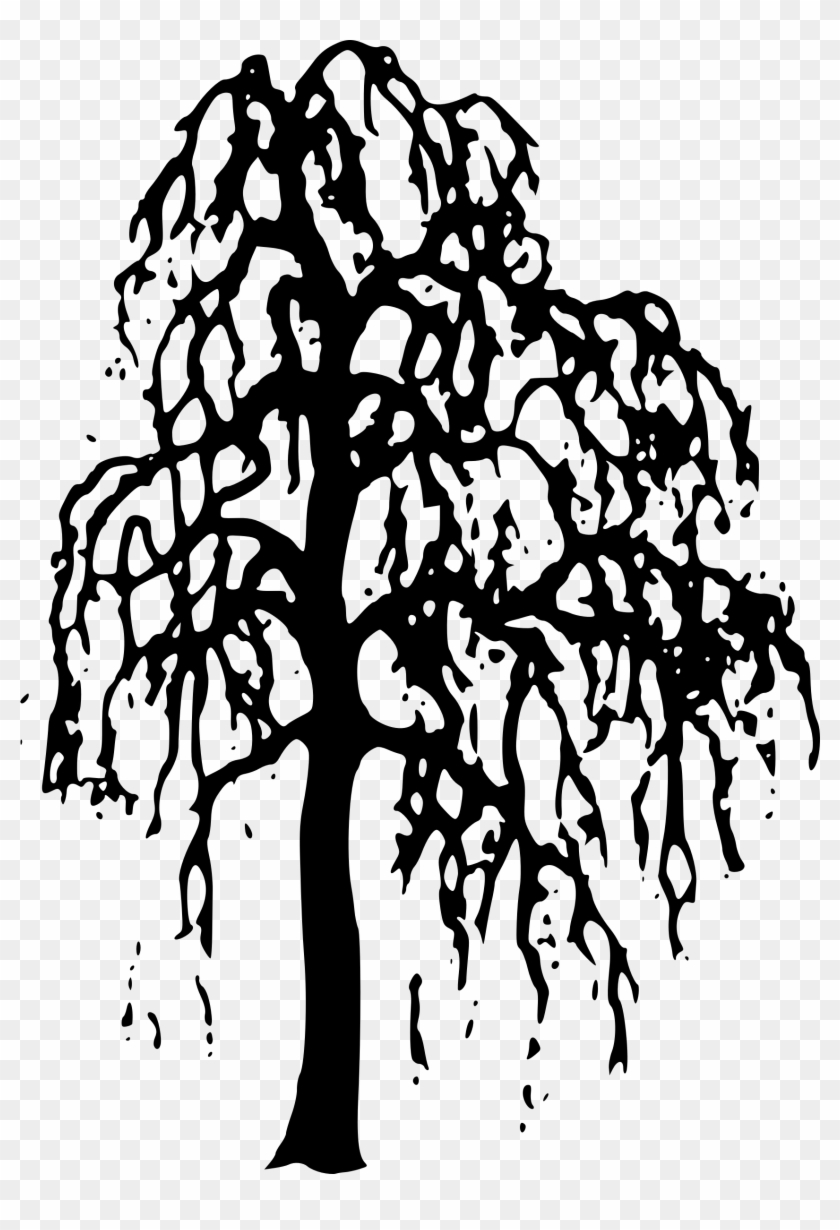 840x1230 Nature Clipart Willow Tree Clipart Gallery Free Clipart - Willow Tree Line Drawing