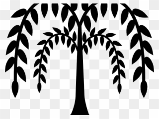 320x240 Drawing Weeping Willow Tree Clipart - Willow Tree Line Drawing