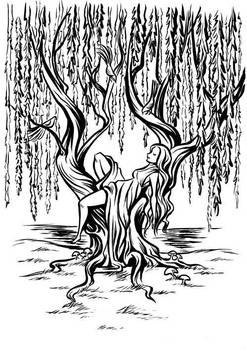 500x706 Willow Tree Coloring Pages Great Free Clipart, Silhouette - Willow Tree Line Drawing