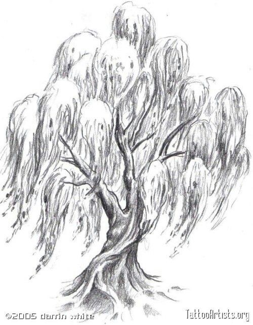 500x643 breathing lines homework turn to art willow tree tattoos, tree - Willow Tree Line Drawing