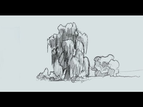 480x360 How To Draw Willow Trees For Comic Books - Willow Tree Line Drawing