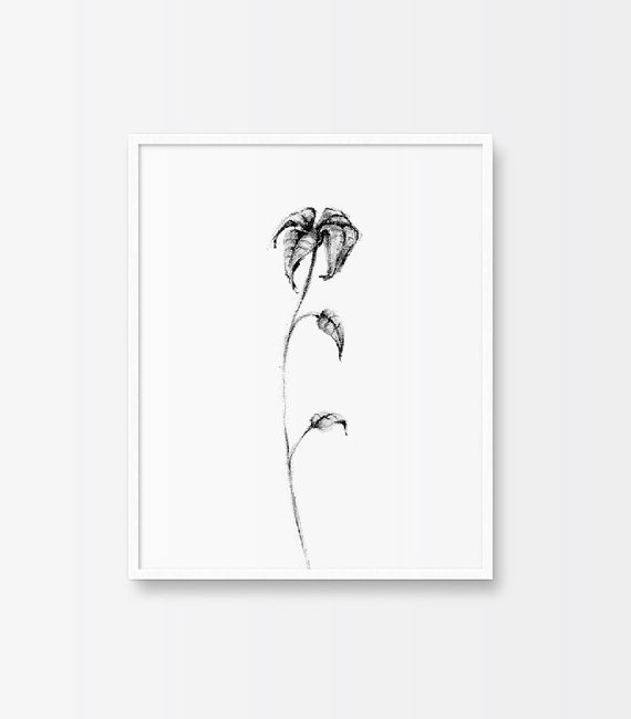 570x650 Printable Art Illustration Print Nature Print Flower Etsy - Wilted Flower Drawing