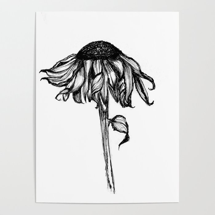 700x700 Wilted Flower Ink Drawing Poster - Wilted Flower Drawing