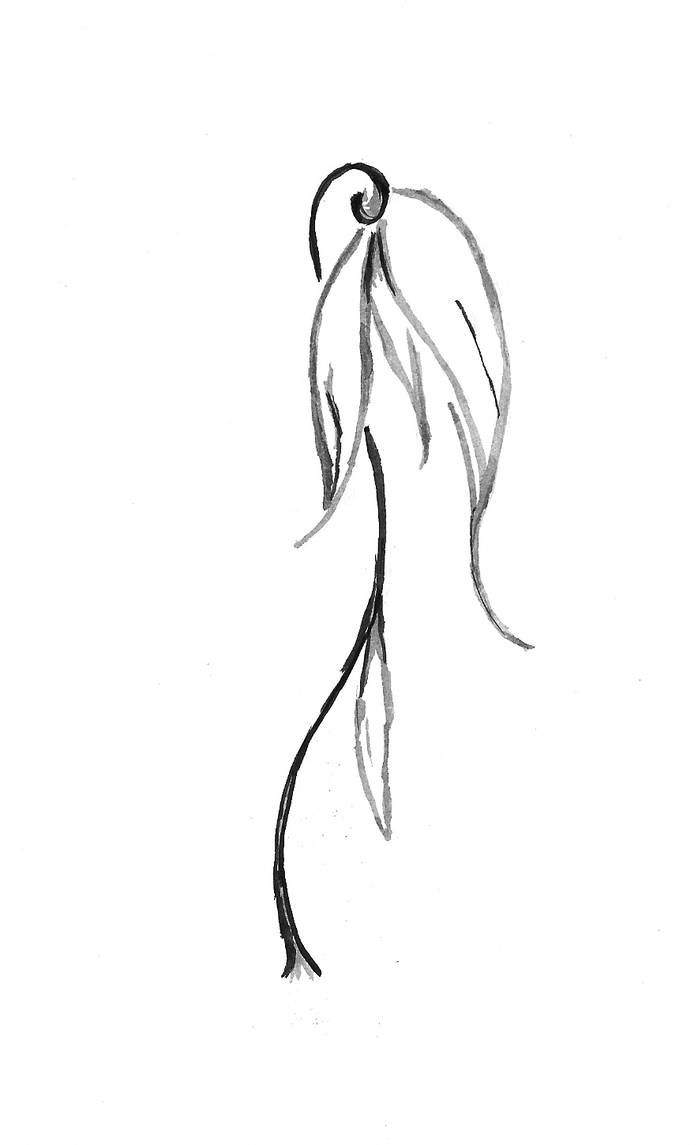 698x1145 Wilted Flower - Wilted Flower Drawing