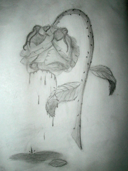 412x550 Roiremoldtrig Rose Flower Sketch - Wilted Flower Drawing