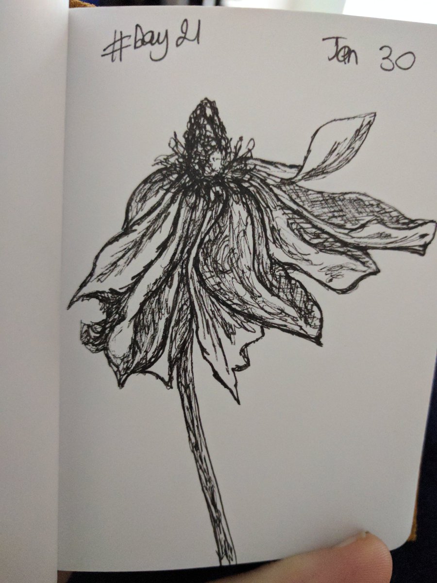 Wilted Flower Drawing at Explore collection of