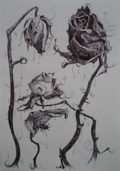 422x600 Dead Flower Drawing - Wilted Flower Drawing