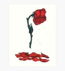 210x230 Wilting Rose Drawing Art Prints Redbubble - Wilted Rose Drawing