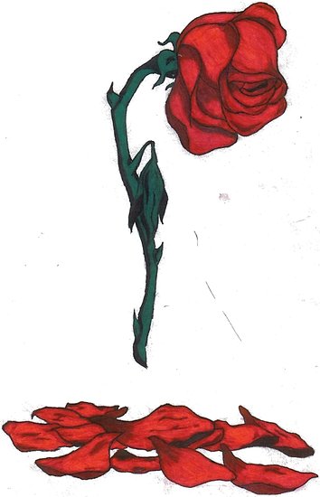 354x550 Wilting Rose Posters - Wilted Rose Drawing