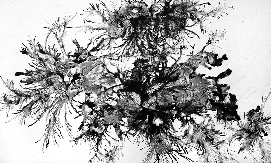 905x544 wind drawing series array - Wind Drawing