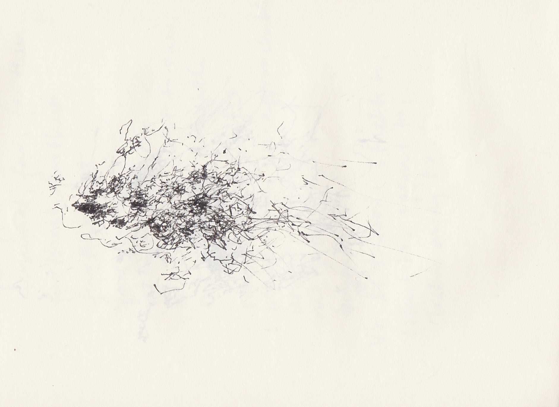 1882x1371 wind drawing, cuckmere valley march touching the world - Wind Drawing