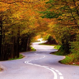 275x275 Inding Path Drawing Hd Wallpaper, Background Images - Winding Path Drawing