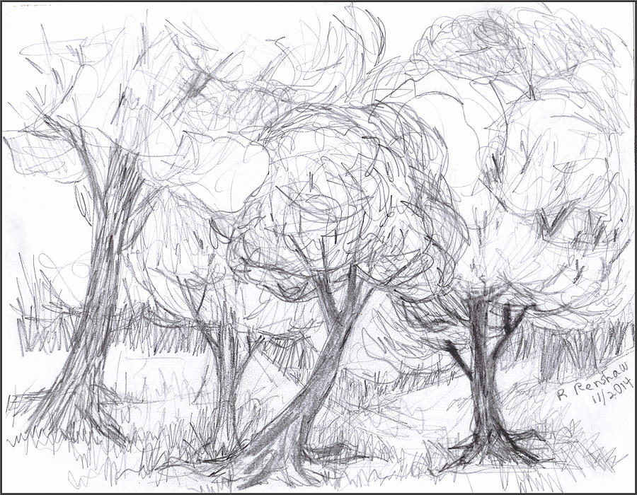 900x700 Windy Day Drawing - Windy Day Drawing