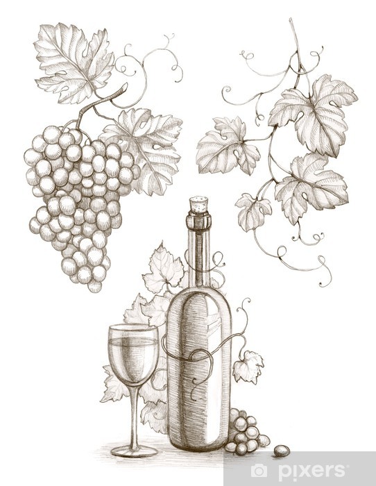 542x700 pencil drawing of wine bottle and grape wall mural we - Wine Bottle Drawing