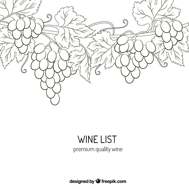 626x626 Premium Quality Wine Drawing Vector Free Download - Wine Drawing