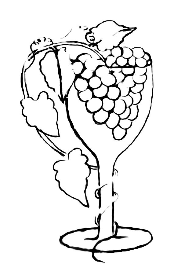 642x900 Grape Vine Wine Glass Paint My Sketch Drawing - Wine Grapes Drawing