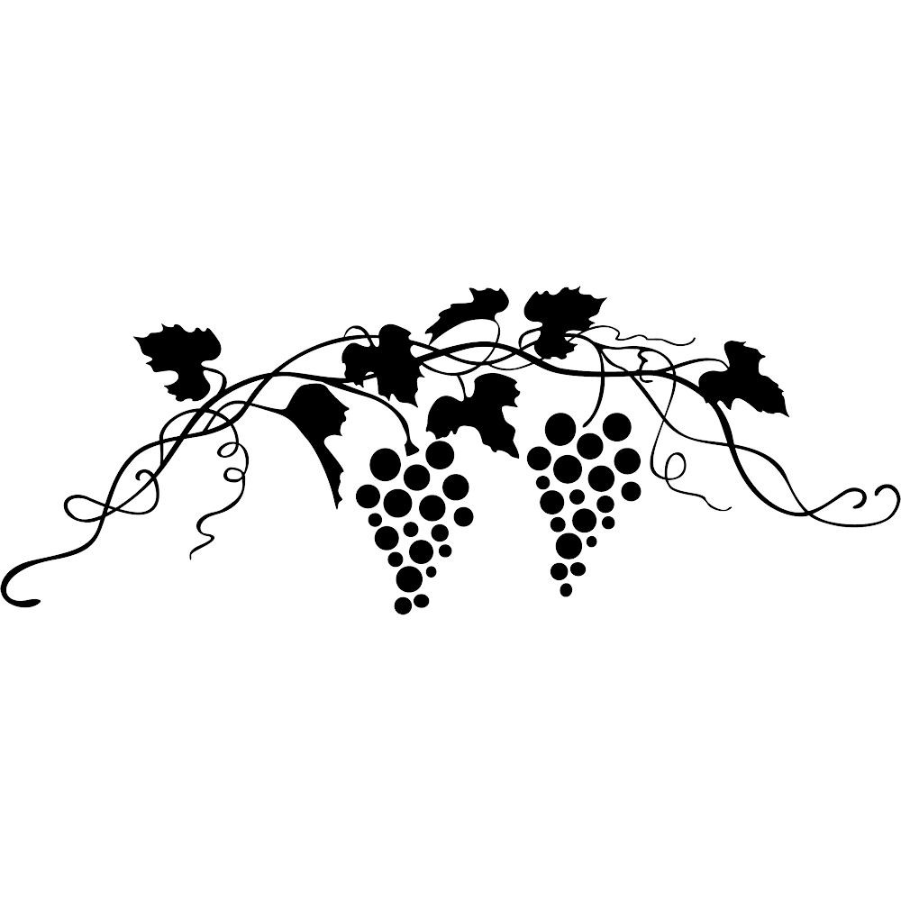 1000x1000 Grape Vines Clipart Collection - Wine Grapes Drawing