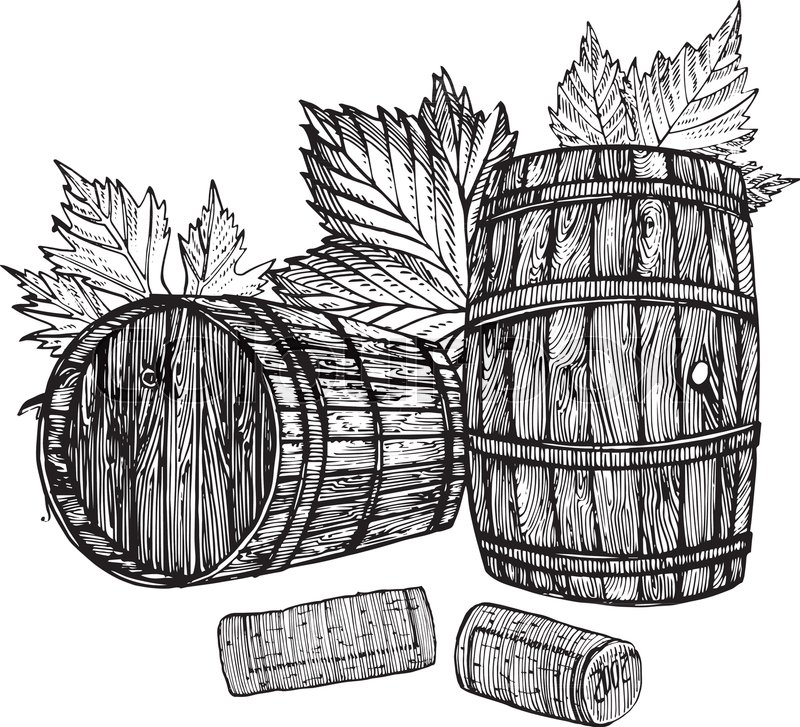 800x727 Vector Hand Drawing Wine Barrel With Stock Vector Colourbox - Wine Grapes Drawing