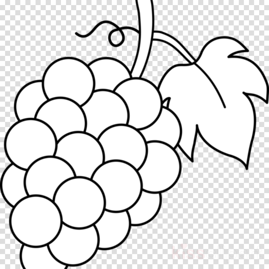 900x900 Wine, Grape, Flower, Transparent Png Image Clipart Free Download - Wine Grapes Drawing