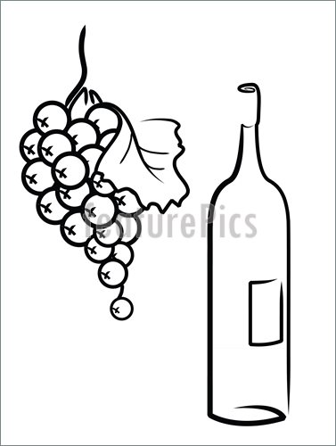 377x500 Wine And Grapes Illustration - Wine Grapes Drawing