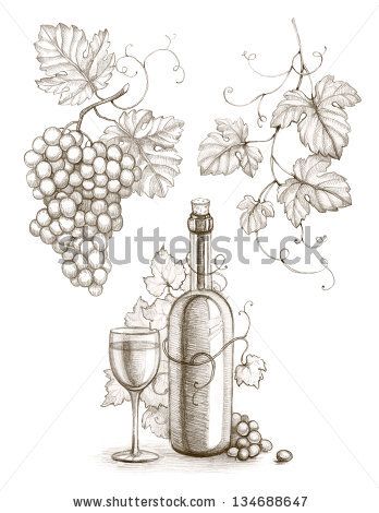 348x470 Drawings Wine Grapes Vines - Wine Grapes Drawing