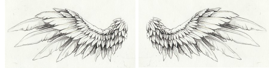 900x228 Tattoo Angel Wings Feathers - Wing Tattoo Drawing