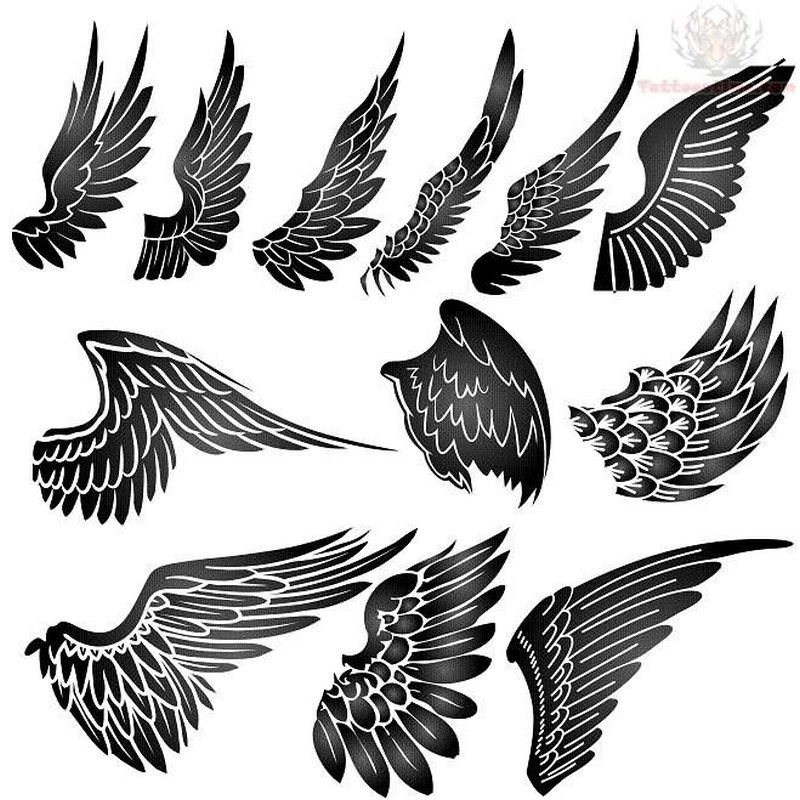 800x800 Best Eagle Wings Tattoos Design With Meanings - Wing Tattoo Drawing