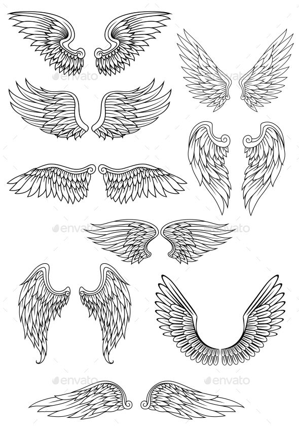 590x846 Angel Wings - Wing Tattoo Drawing