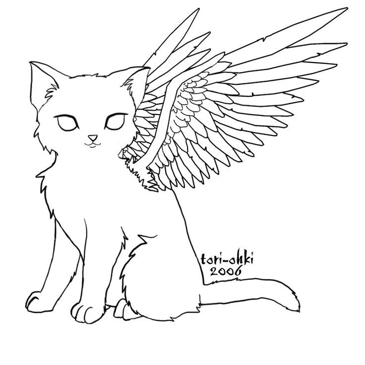 736x736 Winged Cat Coloring Pages Color Cats Gatos, Animales - Winged Cat Drawing