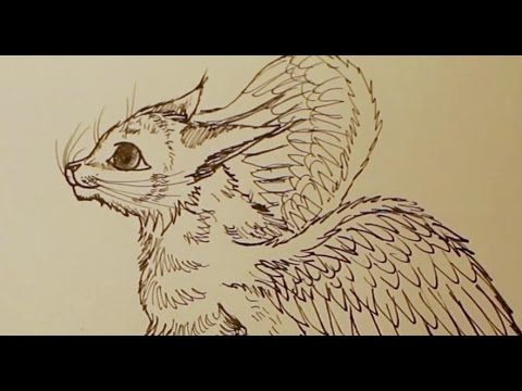480x360 Winged Cat Drawing - Winged Cat Drawing