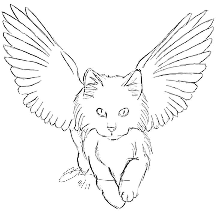 Winged Cat Drawing at Explore collection of Winged