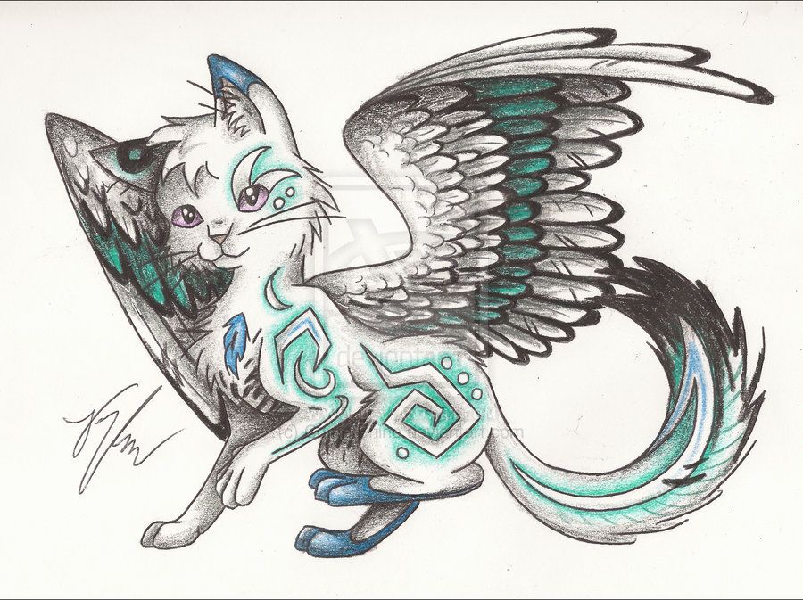 900x673 Pictures Of Winged Animals Wolves And Cats Turquoise Winged Cat - Winged Cat Drawing