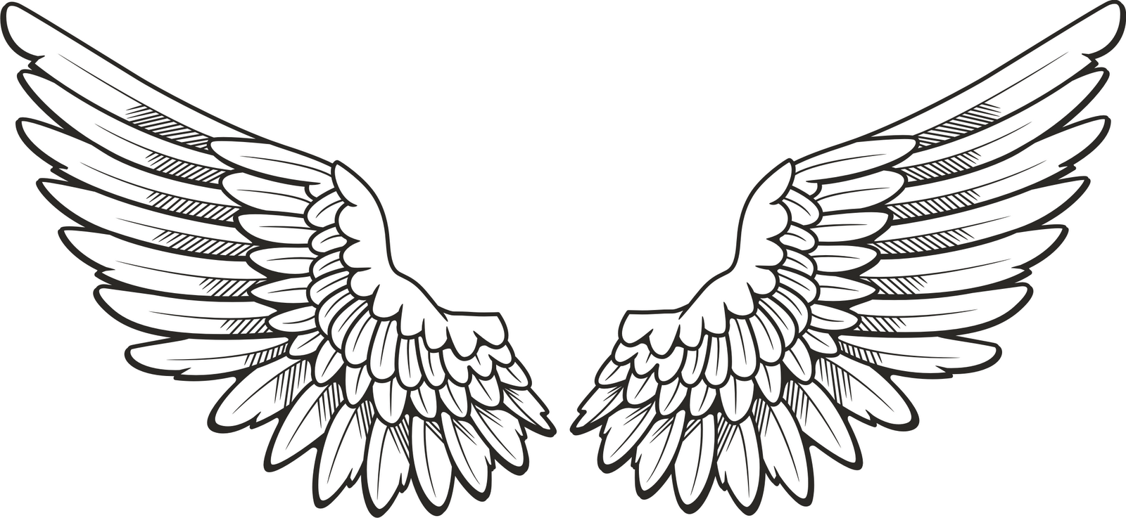 1600x737 Drawing Wings Free Download - Wings Drawing