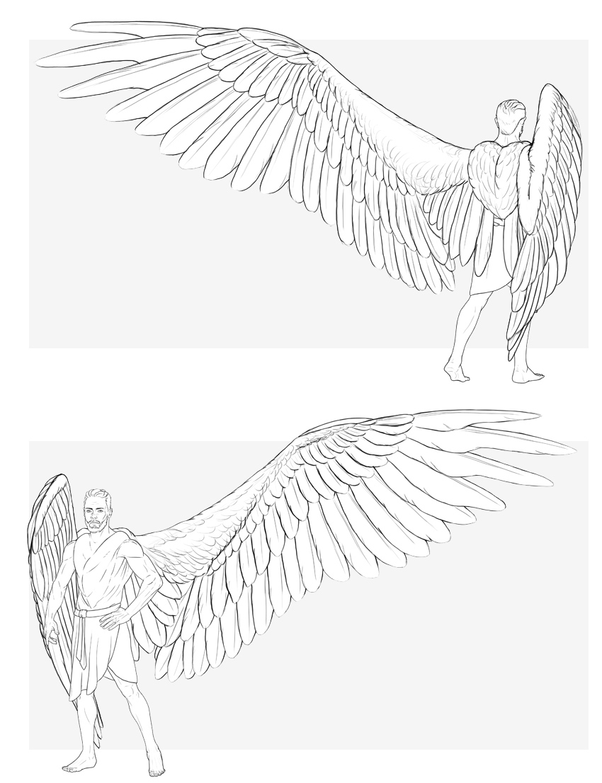 850x1106 How To Draw Angel Wings - Wings Drawing