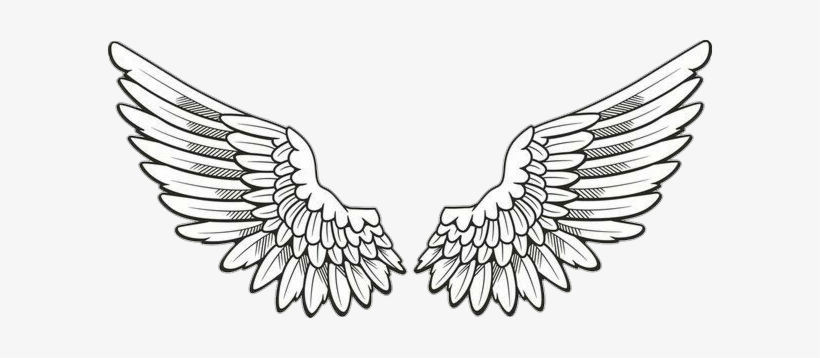 820x358 report abuse - Wings Drawing