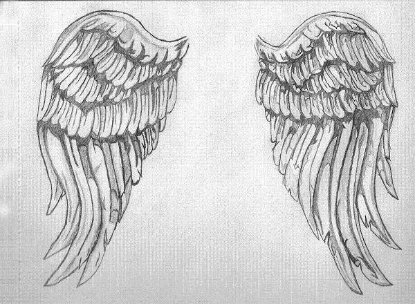 600x440 Wings Drawing, Art Ideas Free Premium Templates - Wings Drawing