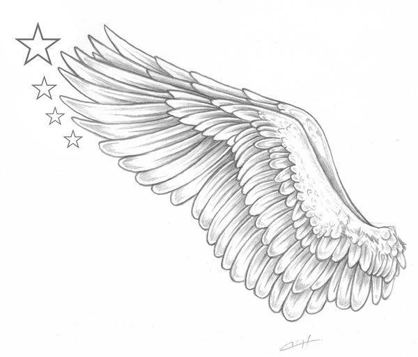600x513 Wings Drawing For Free Download - Wings Drawing