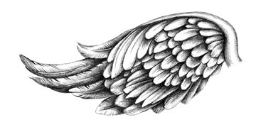 360x179 Angel Drawing Of Pencil Sketches Drawings Angel Wings Pencil - Wings Drawing