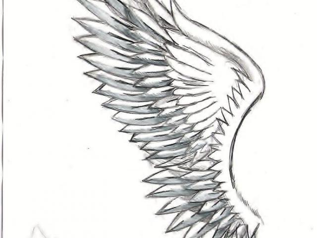 Wings Drawing At Paintingvalley Com Explore Collection Of Wings