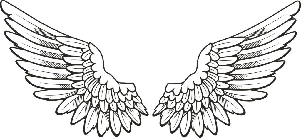 1024x471 Wings Drawing Easy For Free Download - Wings Drawing Easy