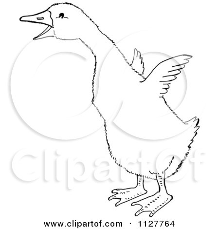 450x470 Cartoon Of A Retro Vintage Black And White Gosling Flapping Its - Wings Line Drawing