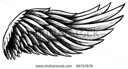 450x244 Ink Tattoos, Wing Tattoo Designs, Wings - Wings Line Drawing
