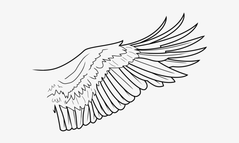 820x490 Simple Wing Lines - Wings Line Drawing