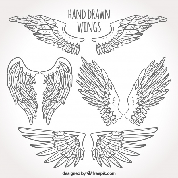 626x626 Wings Drawing Vectors, Photos And Free Download - Wings Line Drawing